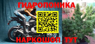 mix Можга