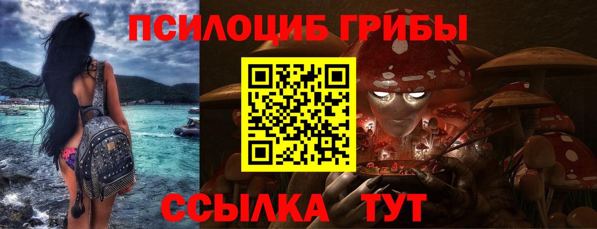 Псилоцибиновые грибы Cubensis  закладки  Шебекино  Галлюциногенные грибы Cubensis  Вход с VPN 